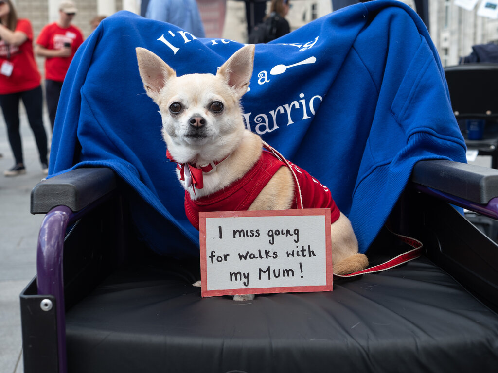 Southampton 2019 - credit Mike Hall Amazing Images